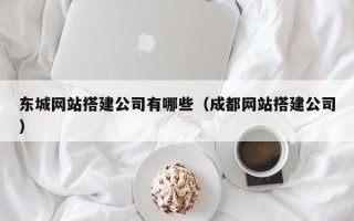 云南东城网站搭建公司有哪些（成都网站搭建公司）